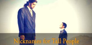 cool nicknames for tall people