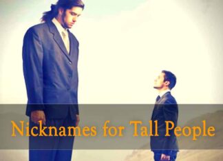 cool nicknames for tall people