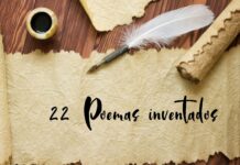 22 Poemas inventados