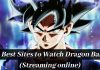 pages to watch dragon ball