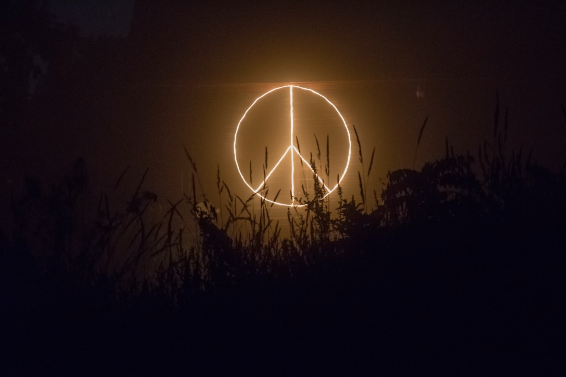 Logo de paz