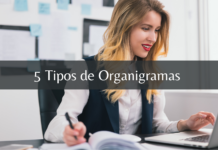 5 Tipos de Organigramas con ejemplos Diseno sin titulo